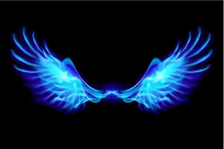 蓝色火焰的翅膀.图片