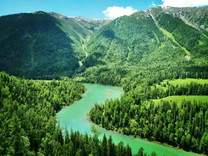 沿喀纳斯河一路观光,欣赏原始森林,白桦林风景,途中停靠著名的神仙