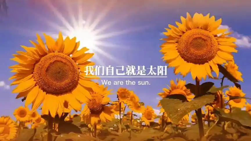 支持抖音传播正能量