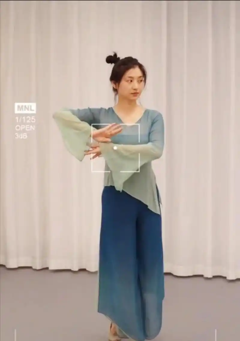 领动计划# "沈眉庄"斓曦近照显孕态?