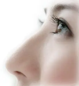 原来这样的才叫高鼻梁!以前都错了!