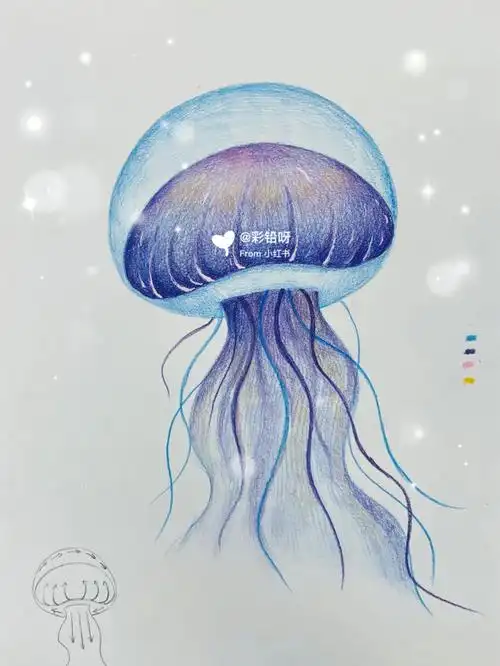 彩铅零基础第14课水母