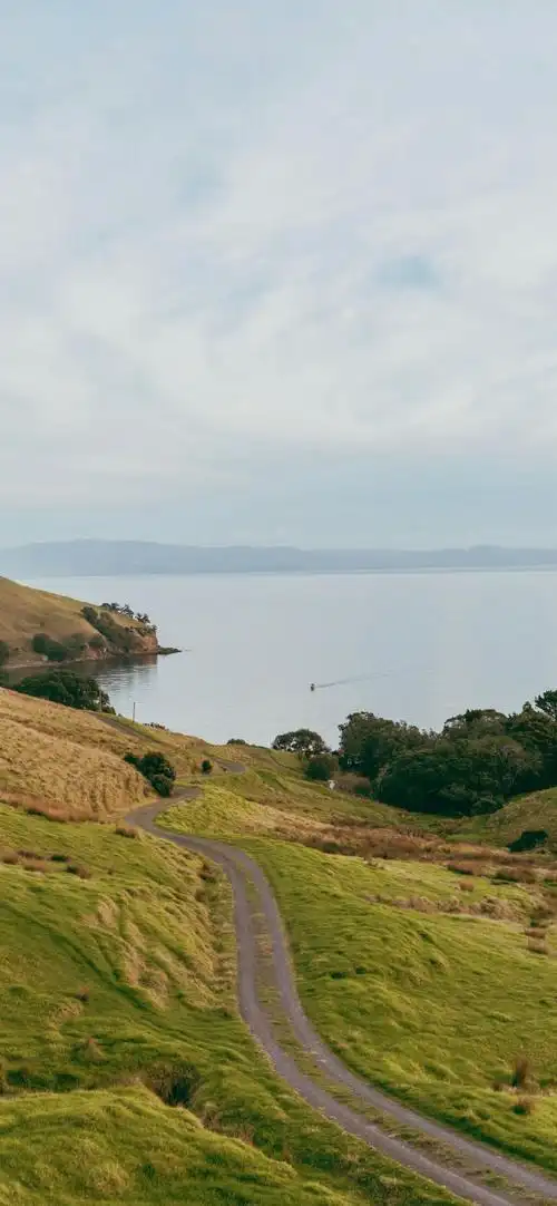 壁纸 草原 桌面 690_1493 竖版 竖屏 手机