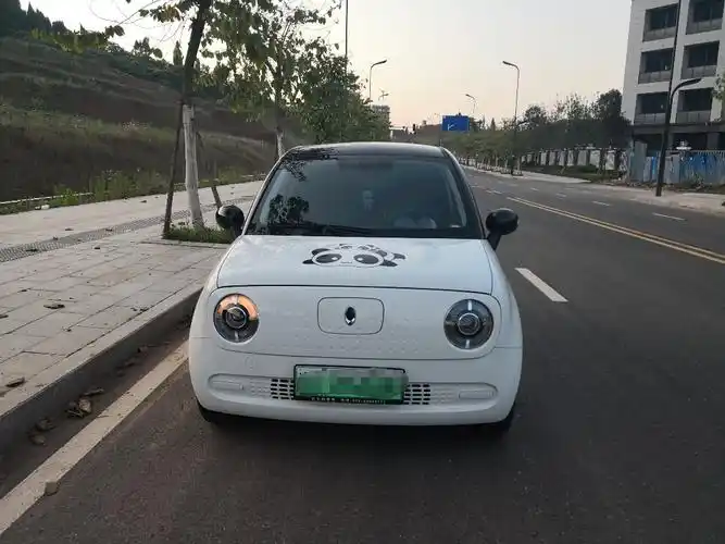 周末开着小欧去新家啦～_欧拉黑猫论坛_手机汽车之家