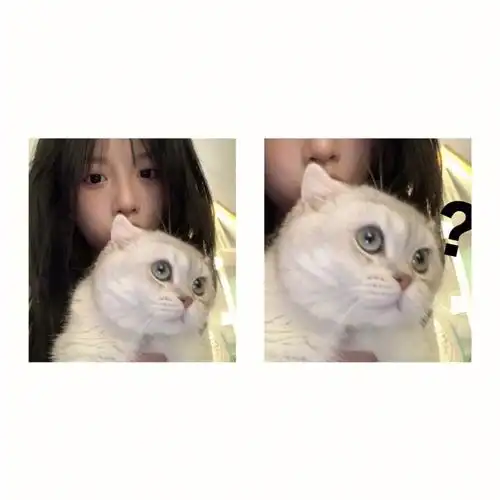 情侣头像男朋友不是人系列