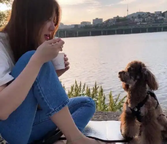 尹恩惠晒近照昔日带货女王变过气女星娃娃脸变成蛇精脸