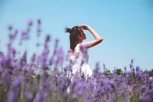 薰衣草园中的女孩