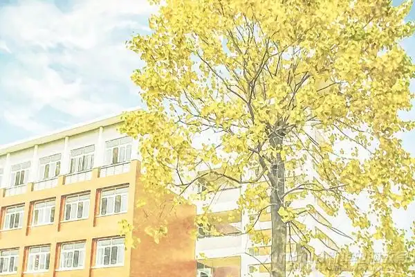 徜徉·二次元的雪校园