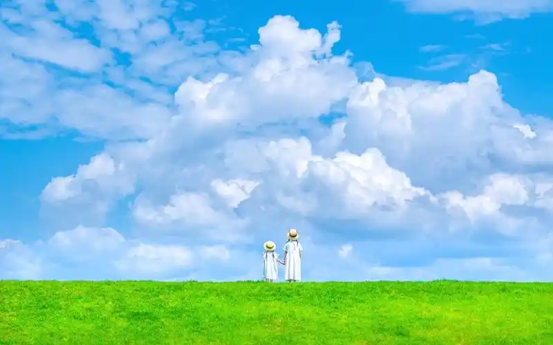 审美提升-43-带你一起走进宫崎骏的夏天