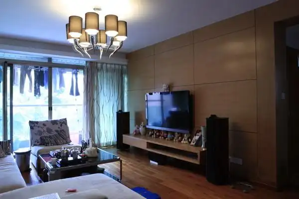 上几张家里客厅的照片