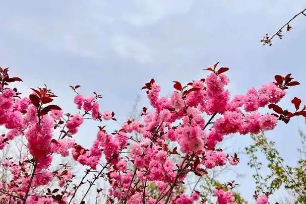 以前,让赵文城最骄傲的,就是廖凯在市里带他去玩的那个晚上.