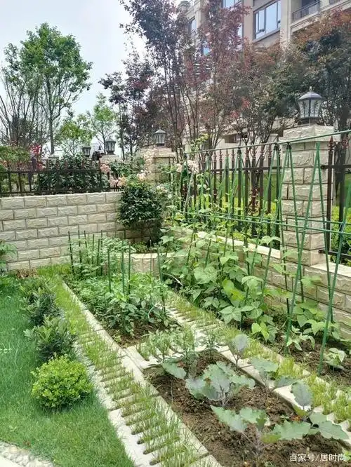 70㎡一楼小院改造:花了1000多块的设计图,一起分享给你