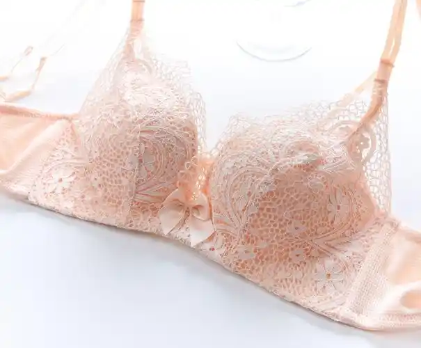 蕾丝前扣美背内衣女无钢圈交叉性感小胸加厚露背聚拢女士文胸批发