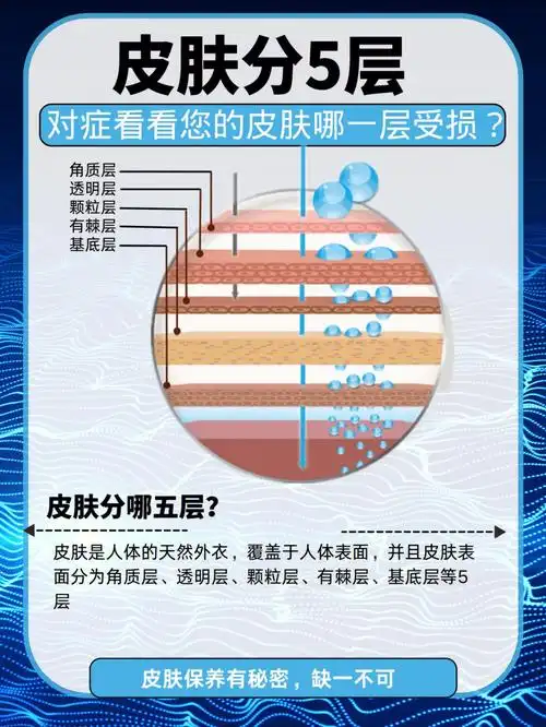 皮肤分哪五层71皮肤是人体的天然外衣,覆盖于人体表面,并且皮肤表面