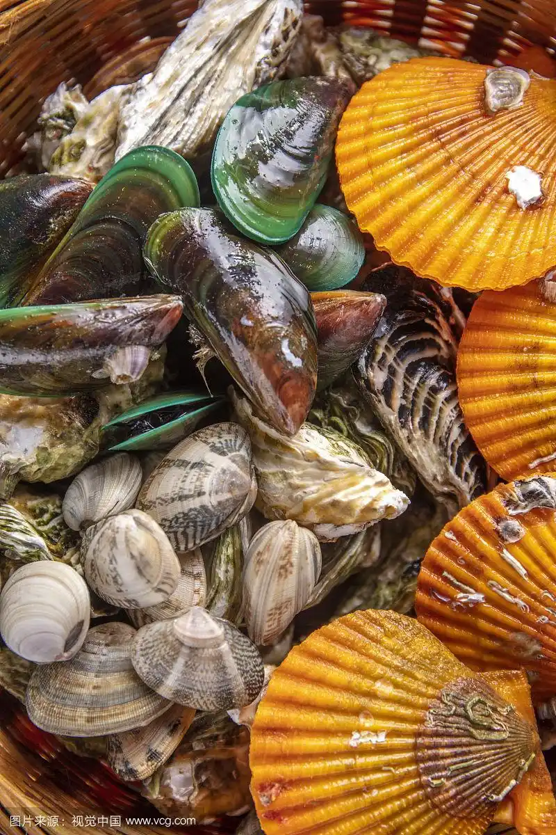 海鲜贝类拼盘