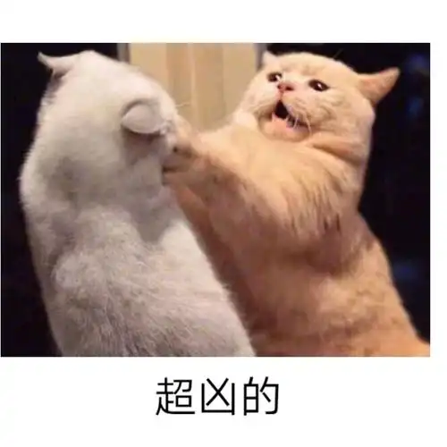 小妹妹你好大的口气