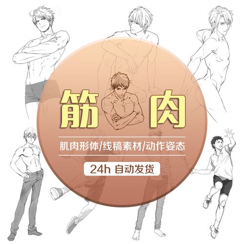 各种漫画男性形体结构线稿 肌肉与形体动态绘画 速写临摹参考素材