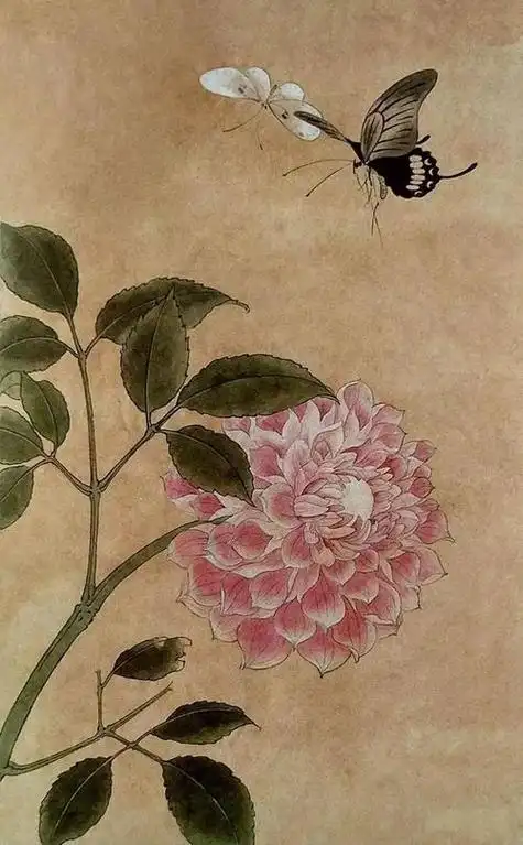 工笔蝴蝶图片工笔蝴蝶图片大全高清