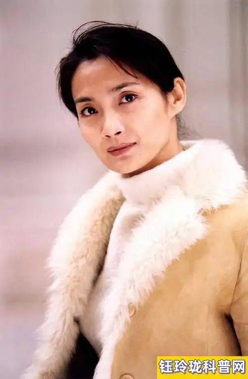 重案六组4演员表(8位女演员大多隐退成素人)