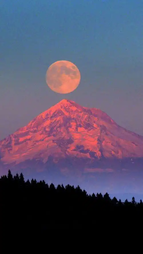 qq唯美意境背景皮肤