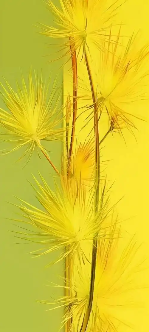 壁纸分享,简约有意境,生机之绿色和温暖之黄色