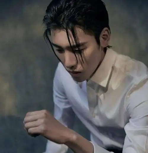 【微信头像】王子异