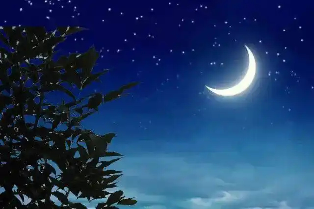 参赛作品选登|王满堂 :半个月亮爬上来