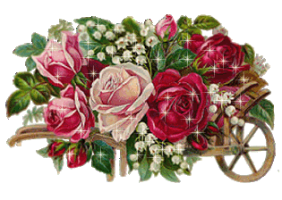 315_224gif 动态图 动图