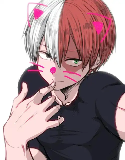 我的英雄学院轰焦冻轰总