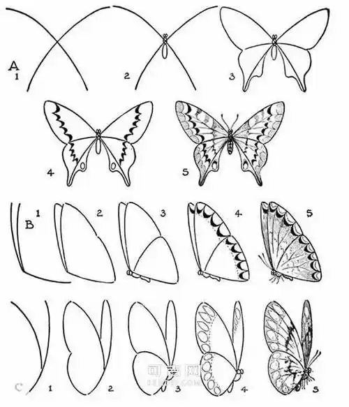 蝴蝶简笔画 蝴蝶简笔画图片大全
