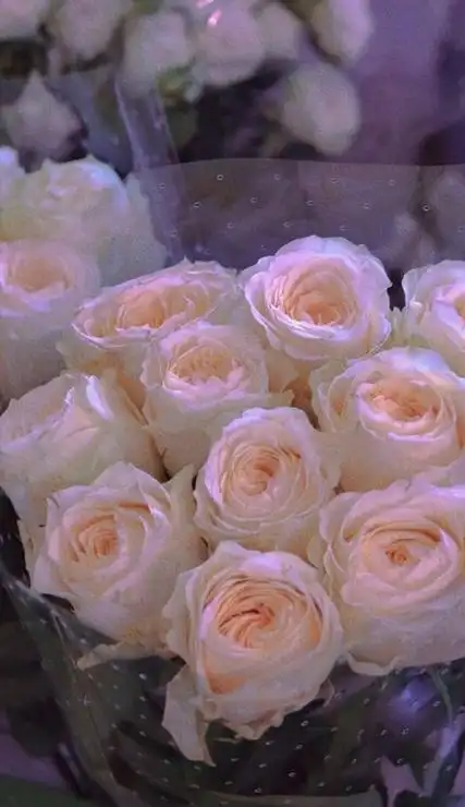 很温婉的治愈系动漫好看的风景壁纸大全_唯美皮肤_有个性网