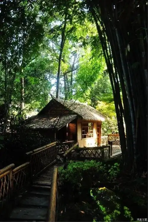 一处幽静的竹林小屋,犹如神仙居住的地方.