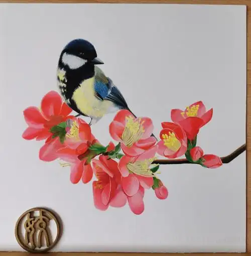 彩铅画——大山雀与贴梗海棠(花鸟篇)