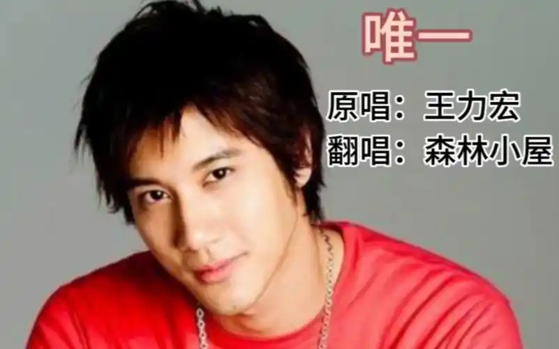 歌曲《唯一》原唱:王力宏 翻唱:森林小屋