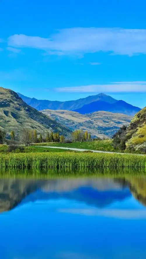 春天绿野风光,高清图片,手机锁屏桌面-壁纸族