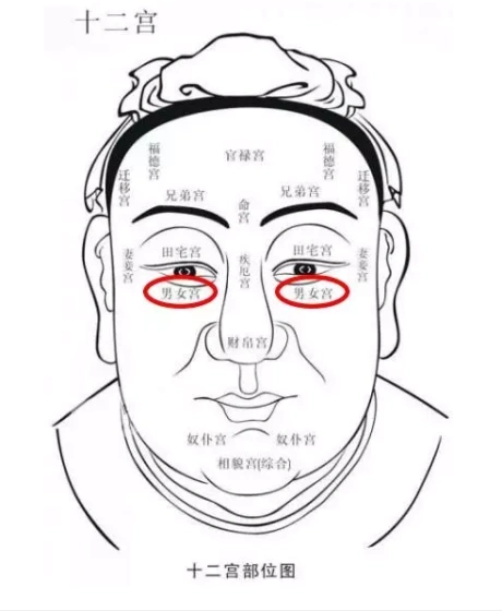 男女宫也叫子女宫,儿女宫,为了方便起见,我们在节目里统一叫子女宫.