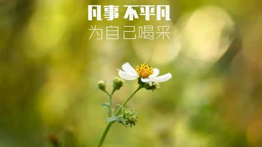 文字励志鼓励文字控壁纸