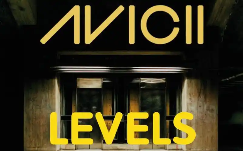 1080pavicii艾维奇levelsmv魔性洗脑