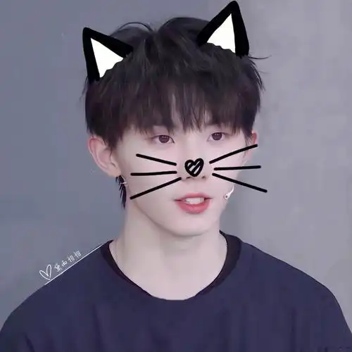 tnt时代少年团头像