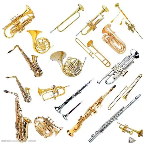西式乐器图片