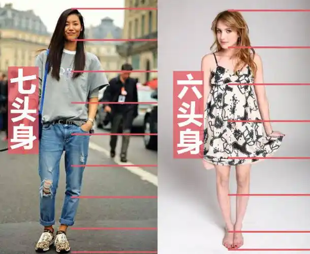 官方身高178cm的刘雯是6头身,这也是超模的一般比例.