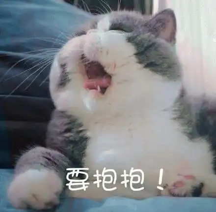 萌宠gif喵星人gif要抱抱gif撒娇gif呆萌gif可爱gif