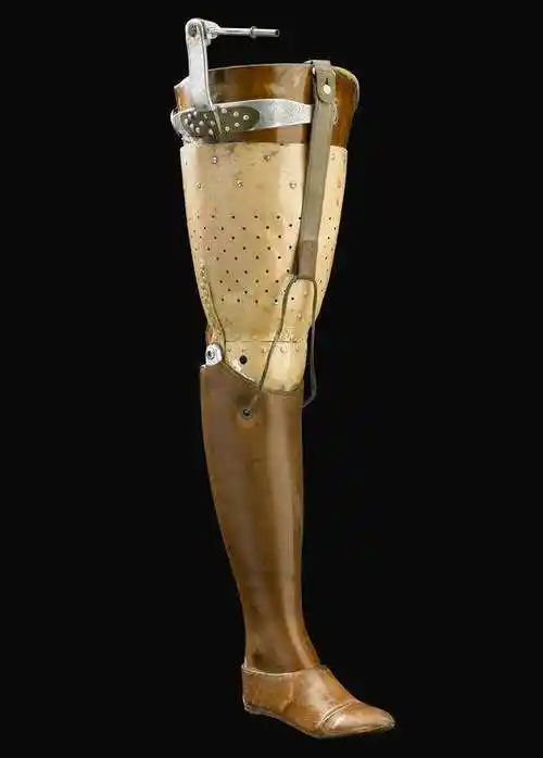 机械腿,仿生人,行走的"阿丽塔"|机器人|假肢|生化人_网易订阅