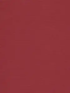 发布到  素材包_… 图片评论 0条  收集   点赞  评论  素材/红色纯色