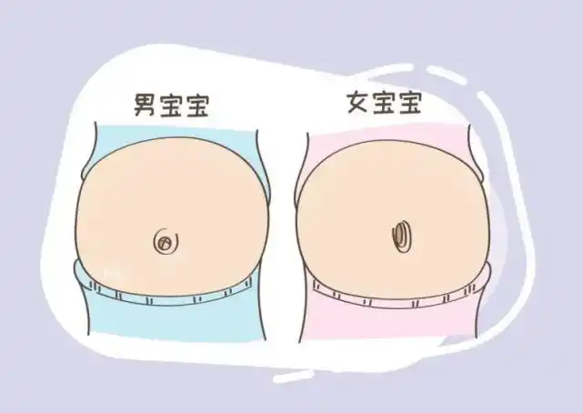 孕妇肚脐有凹有凸,分别暗示生男生女?