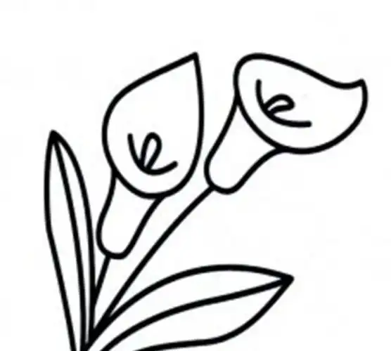 夏天有什么花简笔画,在夏天有什么花图6