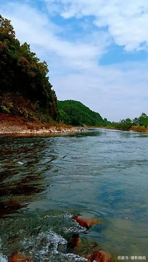 四川达州:宣汉黄金镇太平坝,河边风景,农村,农业,油菜基地