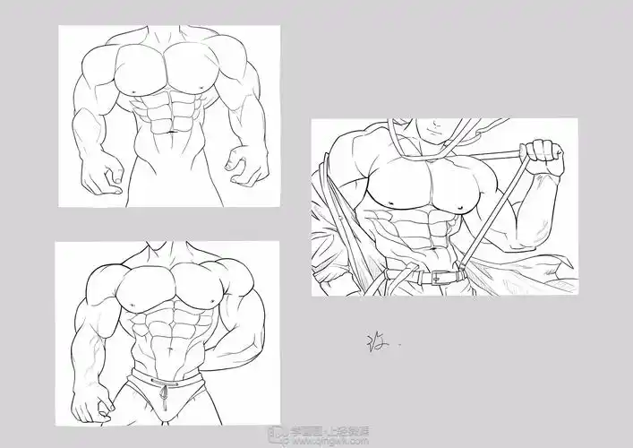 临摹男性肌肉—角色人物肌肉绘画训练