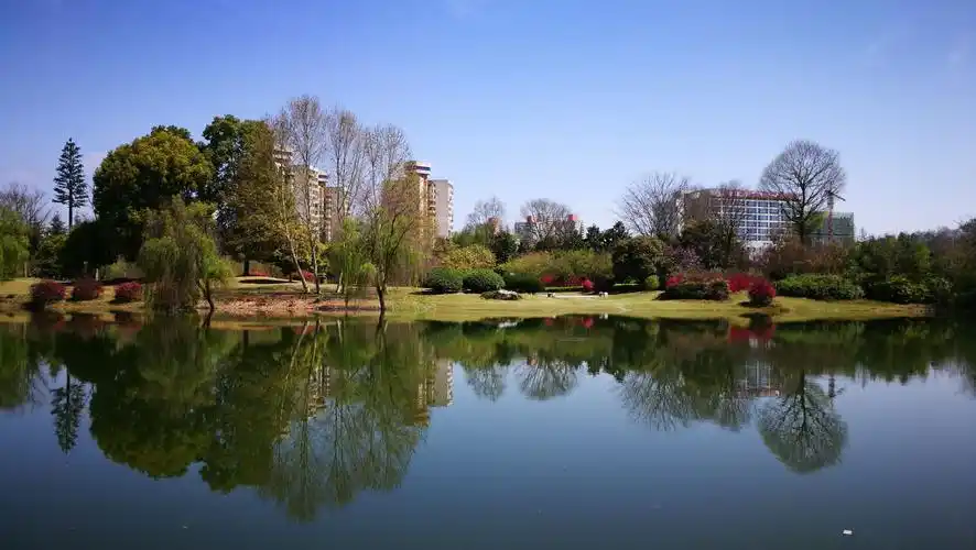 小岛公园开心游