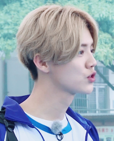 鹿晗奔跑吧兄弟男神小鲜肉gif动图_动态图_表情包下载_soogif